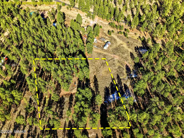 TBD CR N2121, Alpine, AZ 85920