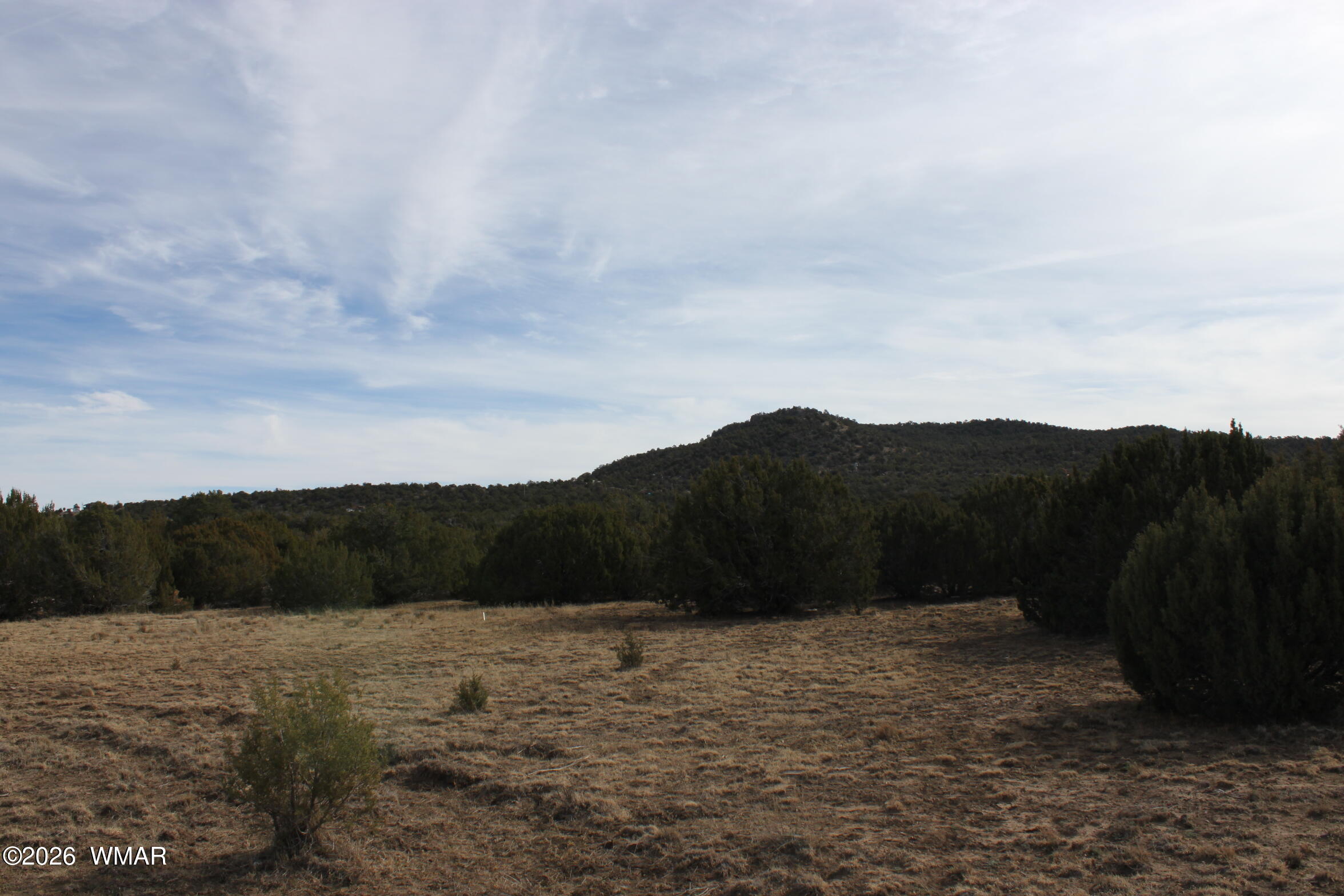 45 County Road 3035, Concho, AZ 85924 — Photo 1 of 13