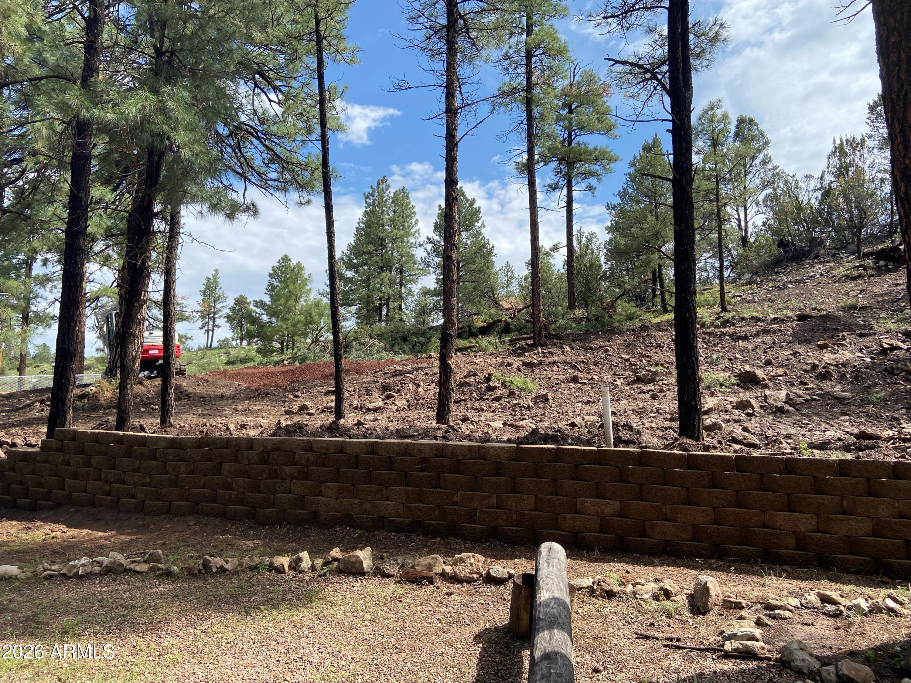 2820 PINE HILL Drive 20, Overgaard, AZ 85933 — Photo 1 of 14