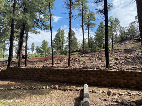 2820 PINE HILL Drive 20, Overgaard, AZ 85933