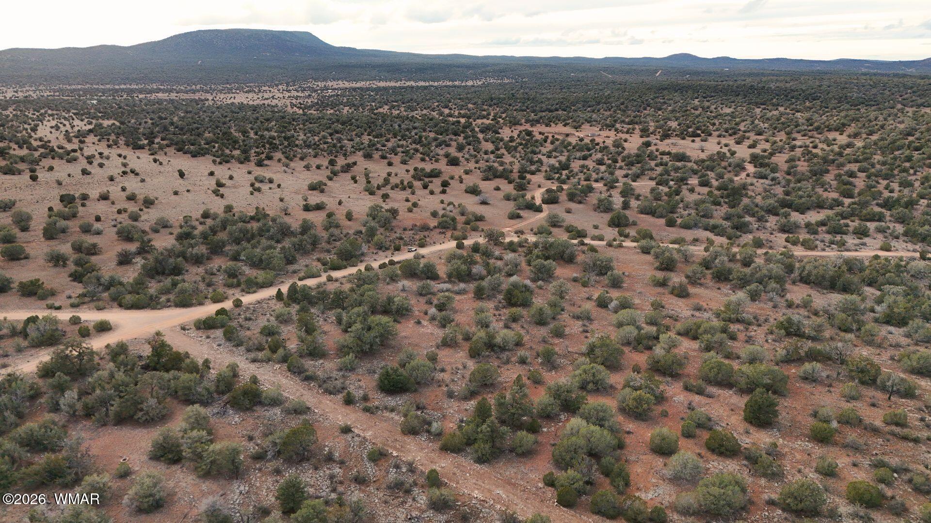 54473 N Shadow Mountain Parkway, Seligman, AZ 86337 — Photo 1 of 10