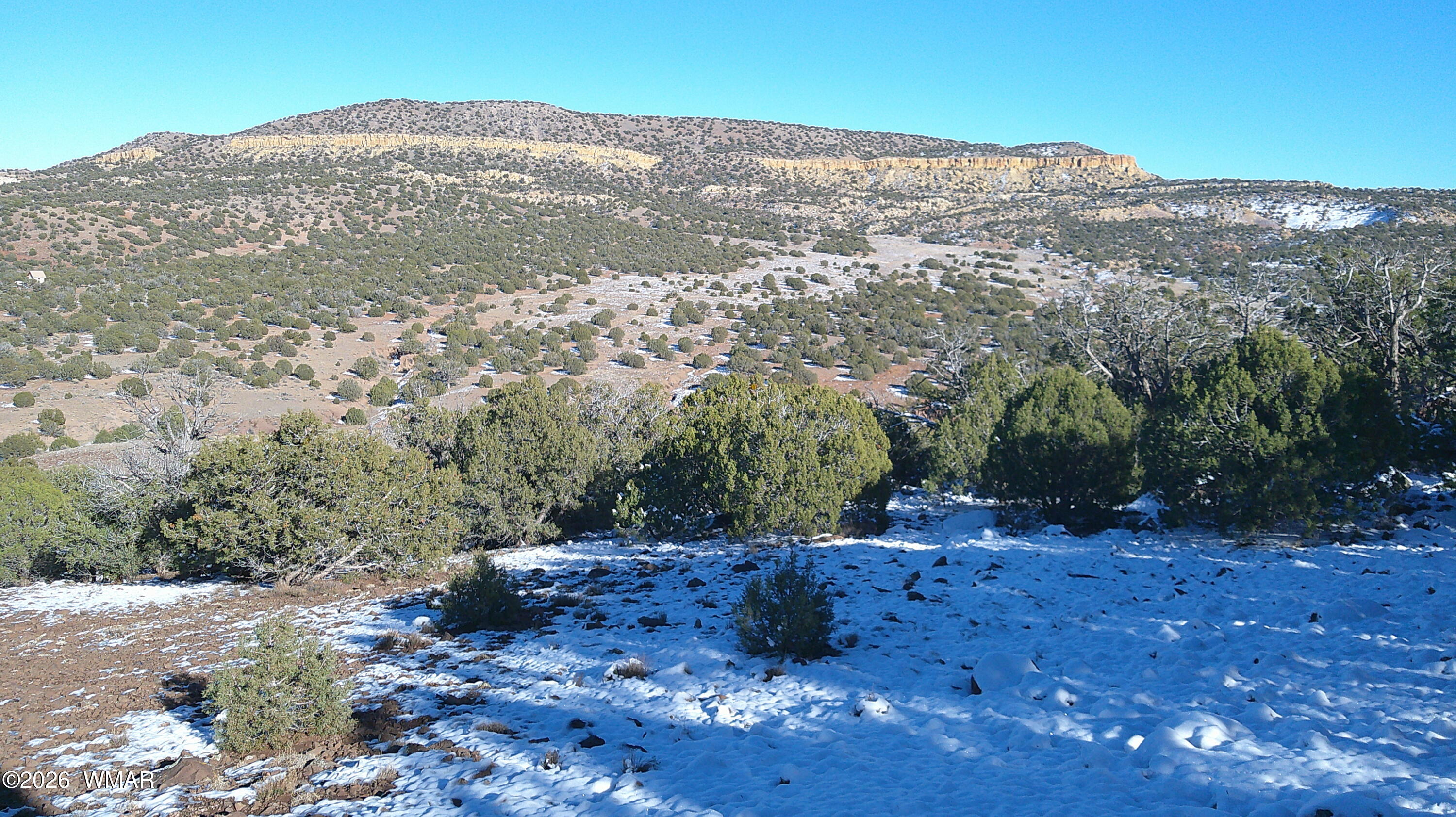 TBD Concho 40ac, Concho, AZ 85924