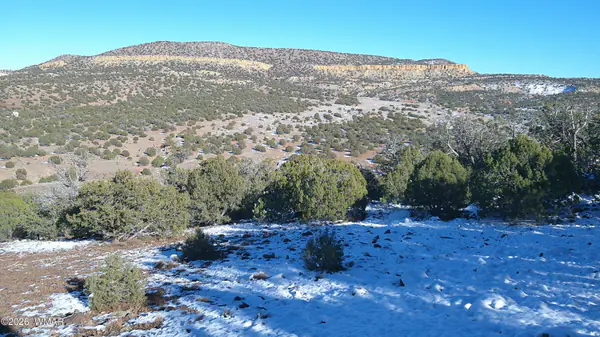 TBD Concho 40ac, Concho, AZ 85924