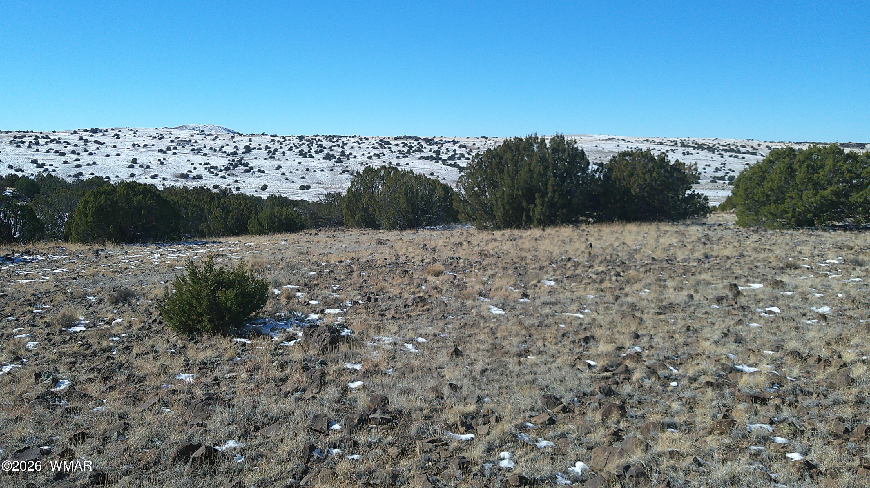 0 Concho Valley, Concho Valley, AZ 85924