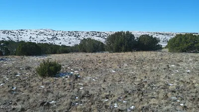 0 Concho Valley, Concho Valley, AZ 85924