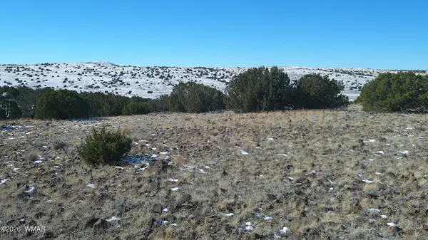 0 Concho Valley, Concho Valley, AZ 85924