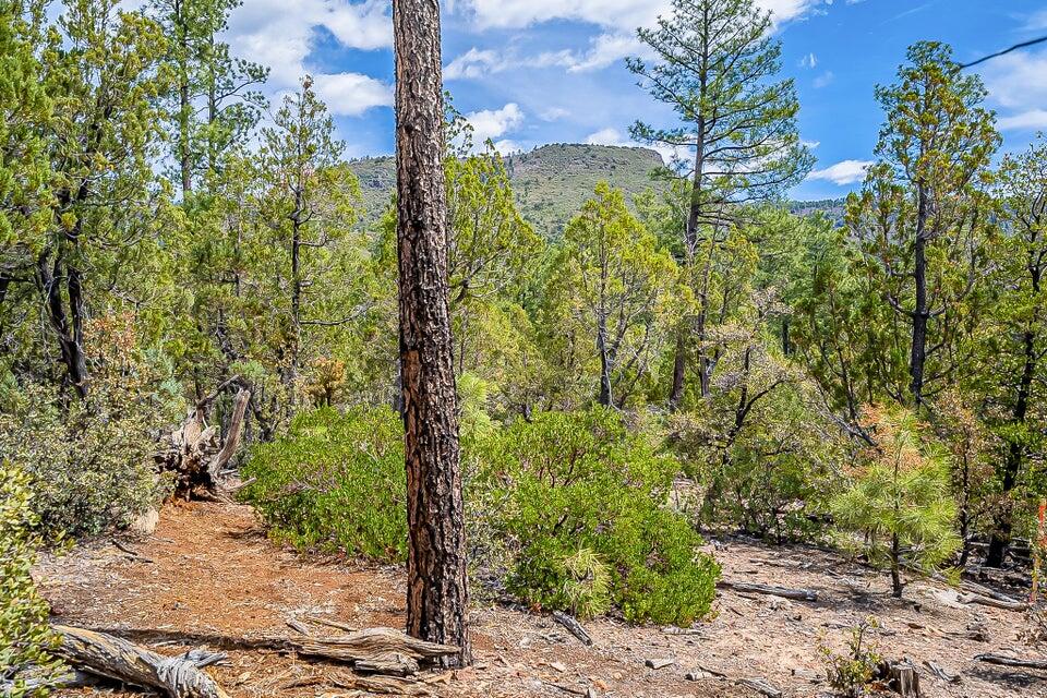 0 Fawn Drive, Pine, AZ 85544 — Photo 1 of 20