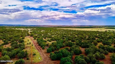 TBD Co Rd N3218 37 Acres, Vernon, AZ 85940
