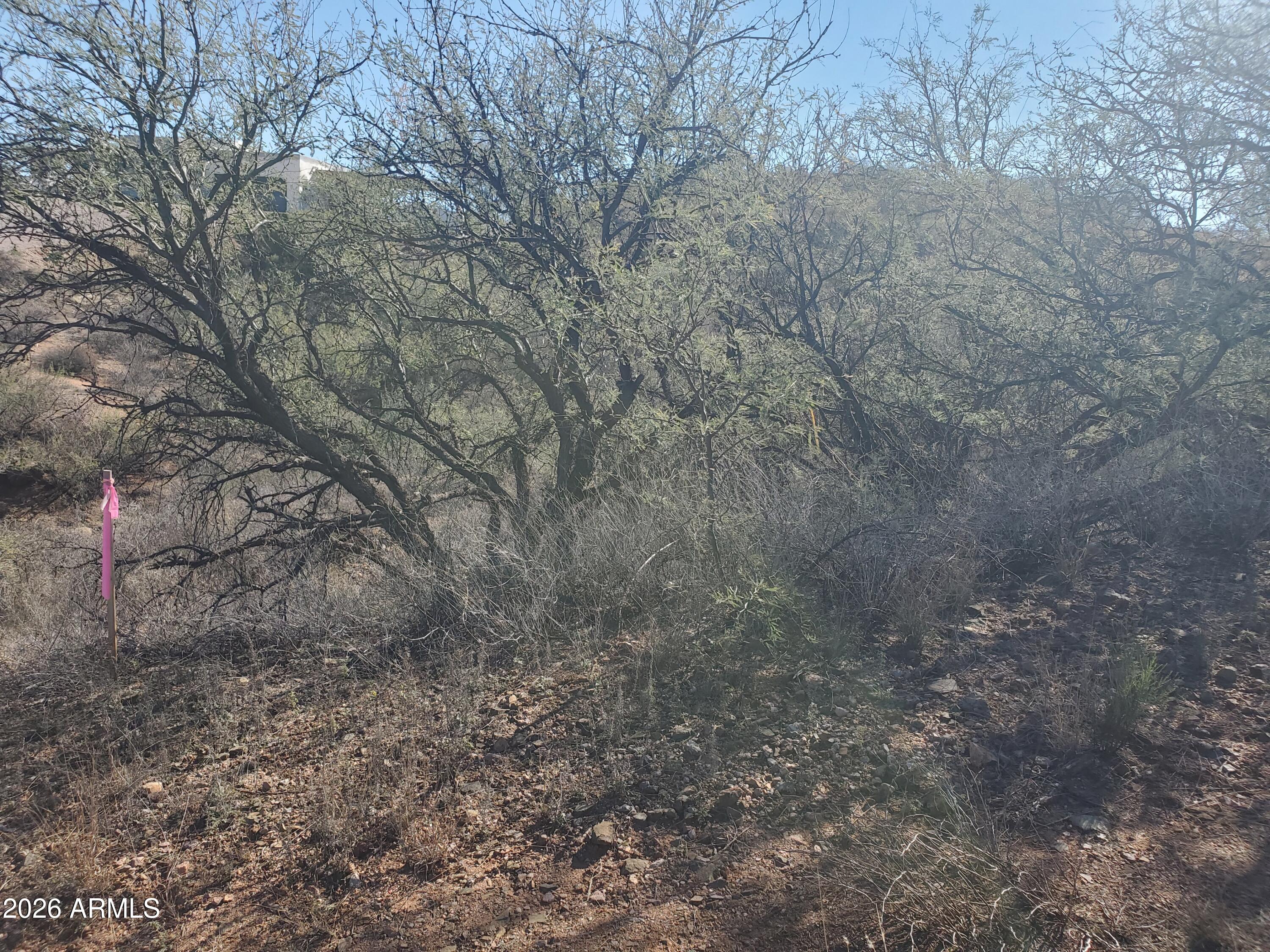 909 PASEO LOS MOCHIS 40, Rio Rico, AZ 85648 — Photo 1 of 16