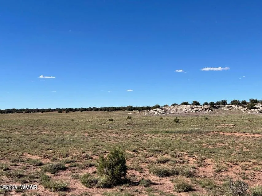 002 N9027, Concho, AZ 85924 — Photo 1 of 13