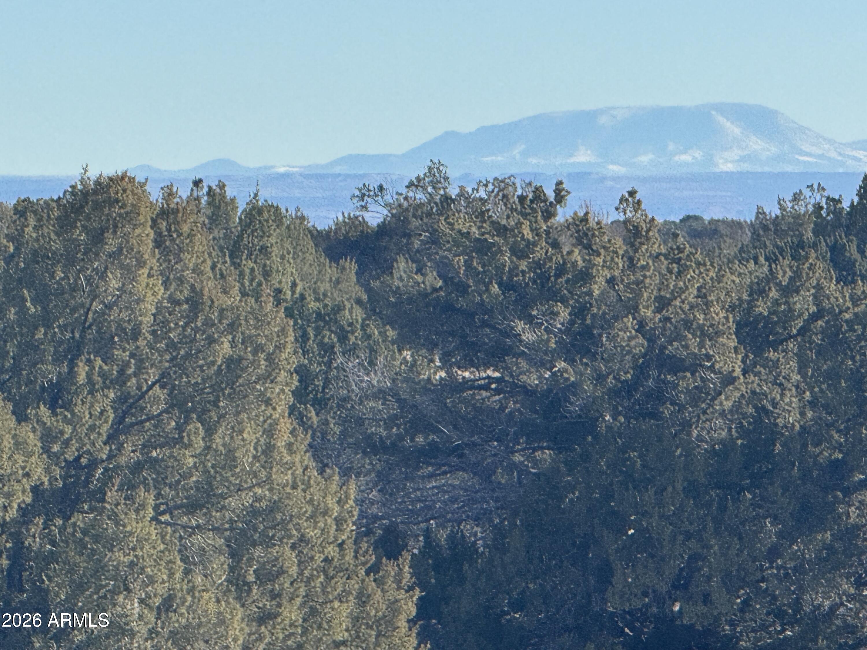 Lot 198 Red Sky Ranch 198, St Johns, AZ 85936 — Photo 1 of 20