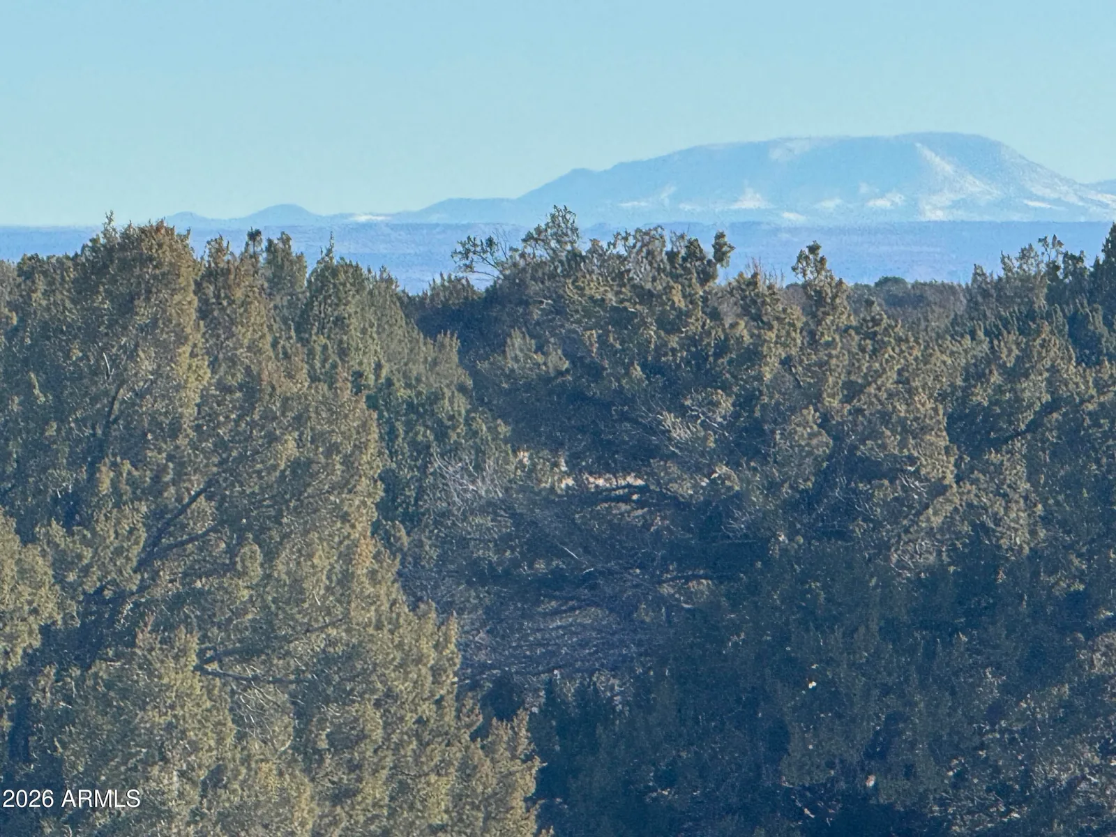 Lot 198 Red Sky Ranch 198, St Johns, AZ 85936 — Photo 1 of 20