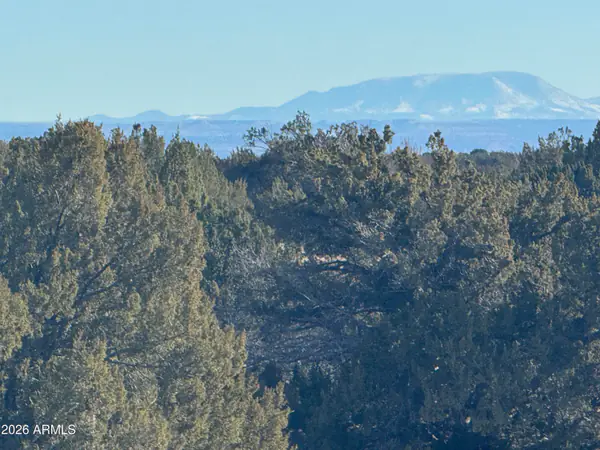 Lot 198 Red Sky Ranch 198, St Johns, AZ 85936