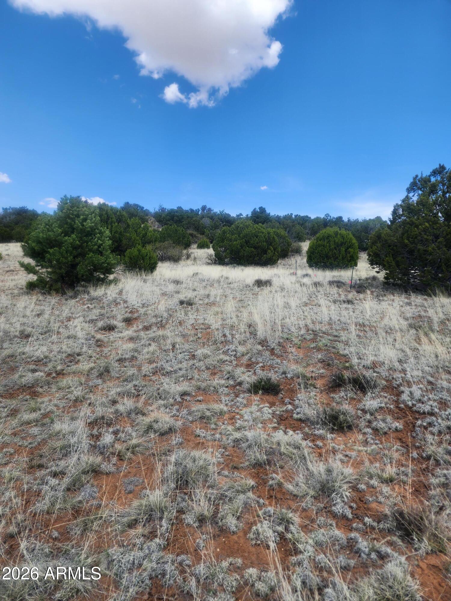 4 ACR 8410 416, Concho, AZ 85924 — Photo 1 of 11