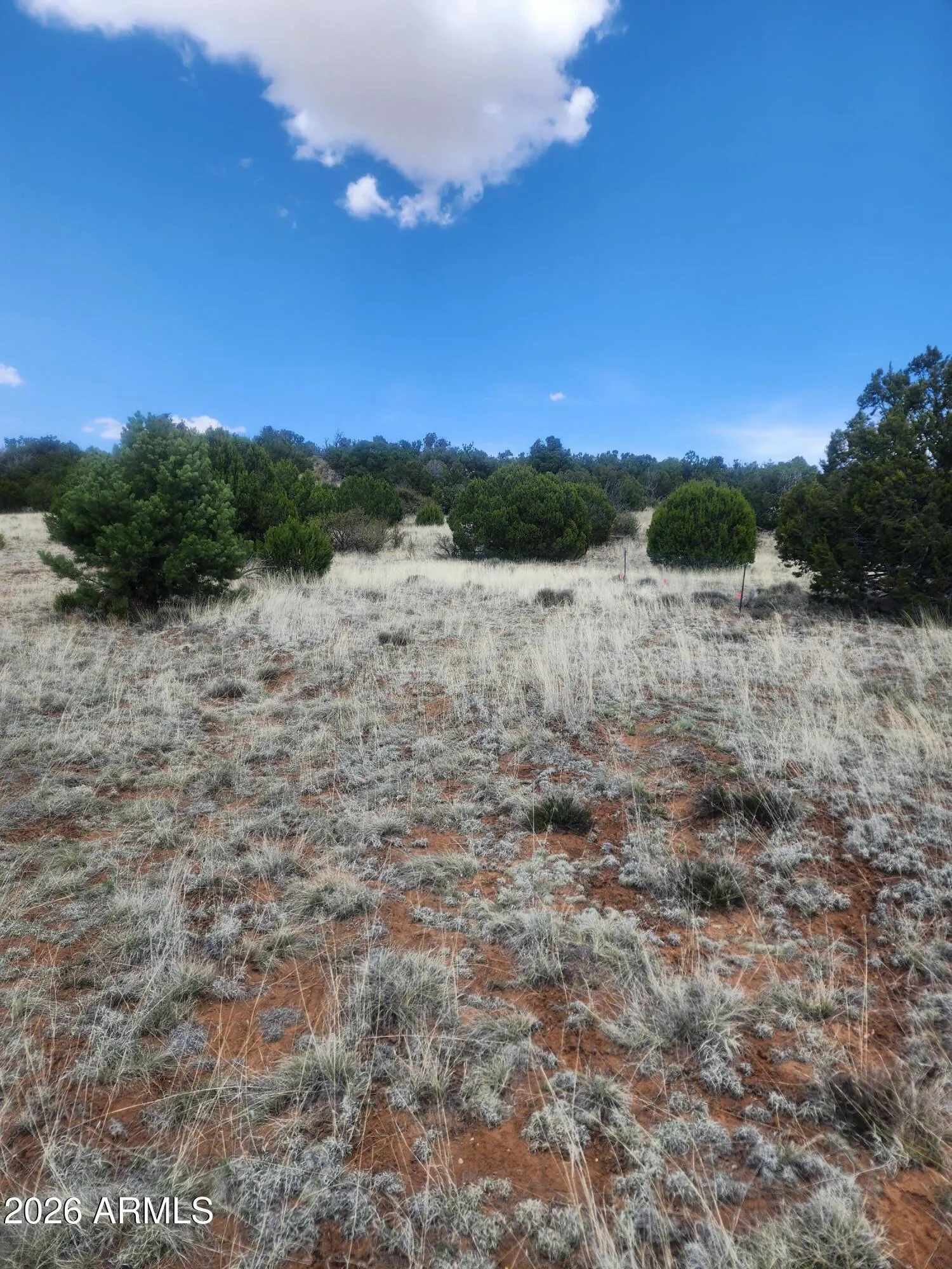 4 ACR 8410 416, Concho, AZ 85924 — Photo 1 of 11