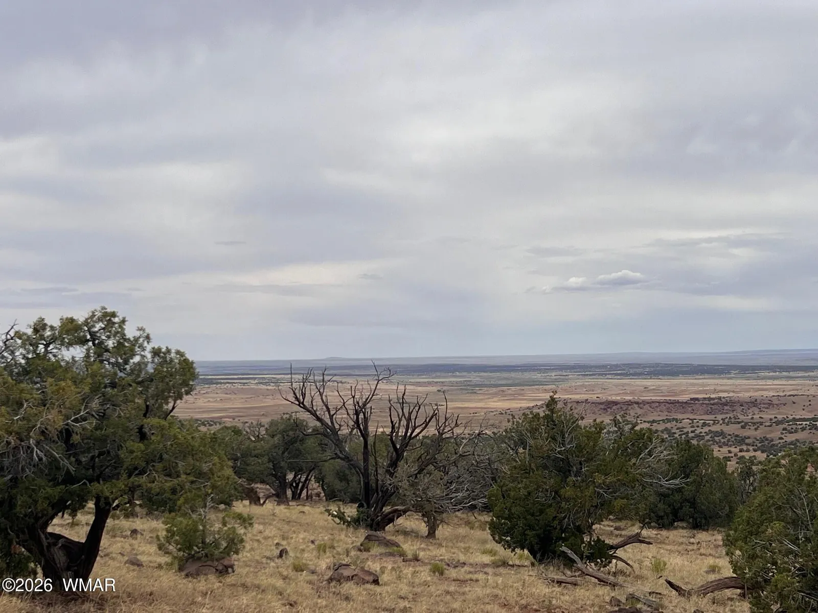 Lot 8 N8526, Concho, AZ 85924 — Photo 1 of 16