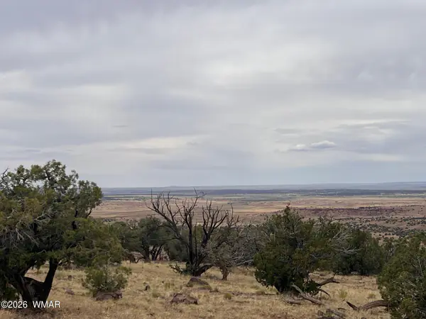 Lot 8 N8526, Concho, AZ 85924