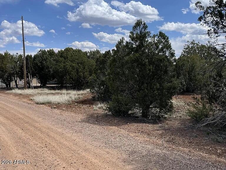 1879 TURKEY FLAT Place 17, Show Low, AZ 85901 — Photo 1 of 6