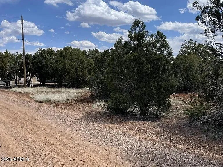 1879 TURKEY FLAT Place 17, Show Low, AZ 85901 — Photo 1 of 6