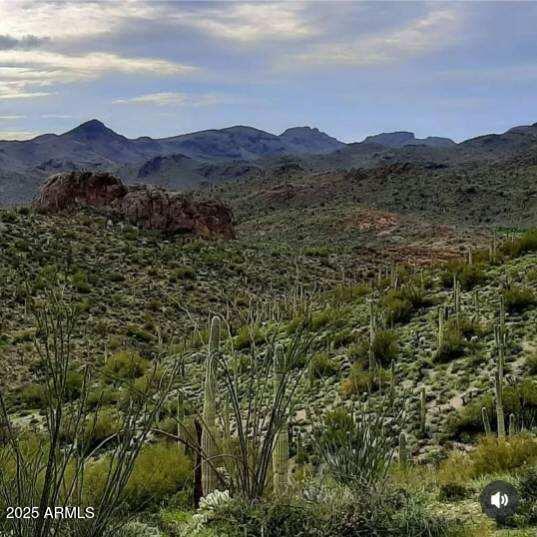 004K E Hardt Tank Road 004K, Queen Valley, AZ 85118 — Photo 1 of 27
