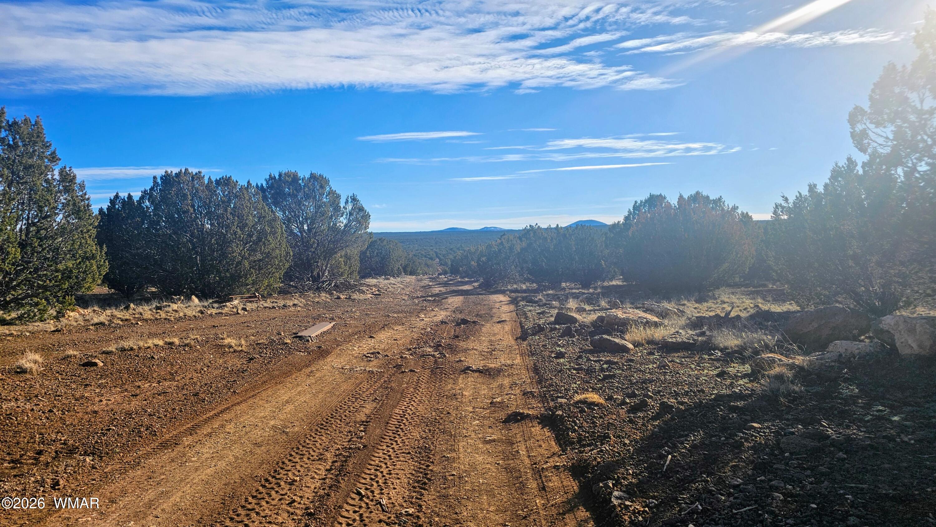TBD Coral Road, Show Low, AZ 85901