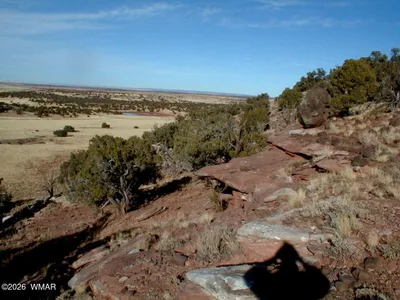 LOT 13 N8526, Concho, AZ 85924