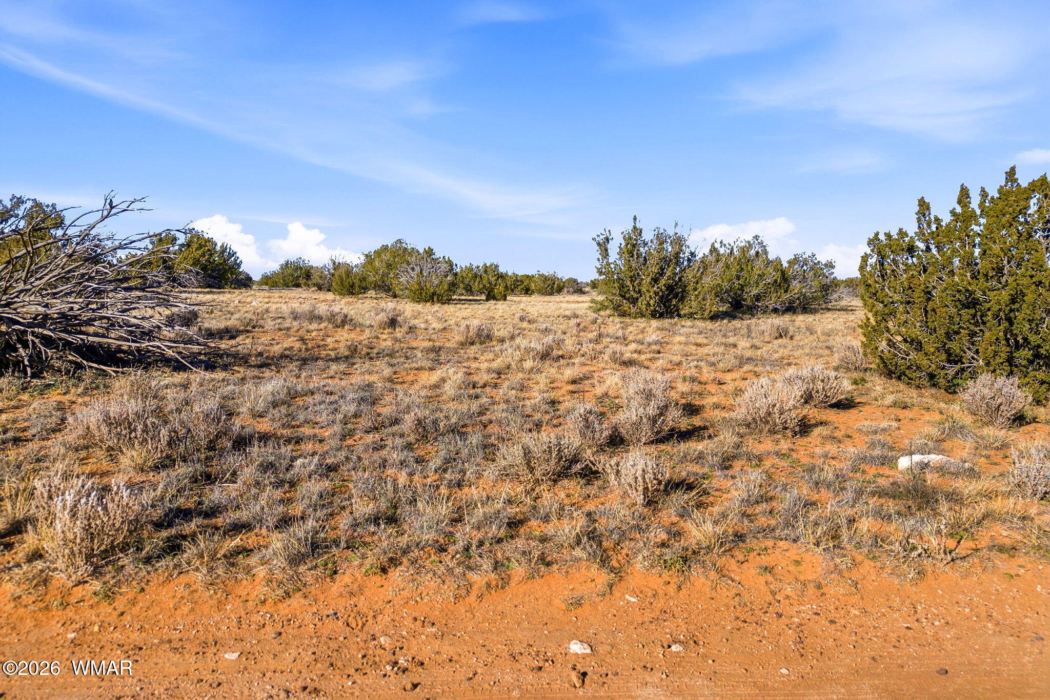 SW4 NW4 Section 4 T14N R16E, Heber, AZ 85928