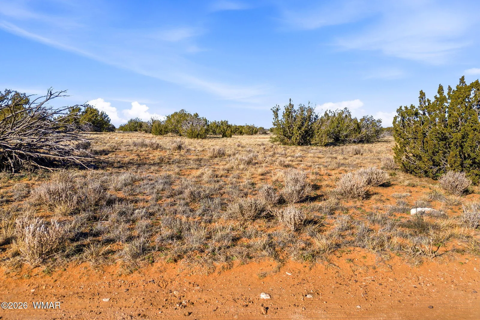 SW4 NW4 Section 4 T14N R16E, Heber, AZ 85928 — Photo 1 of 17