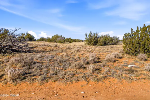 SW4 NW4 Section 4 T14N R16E, Heber, AZ 85928