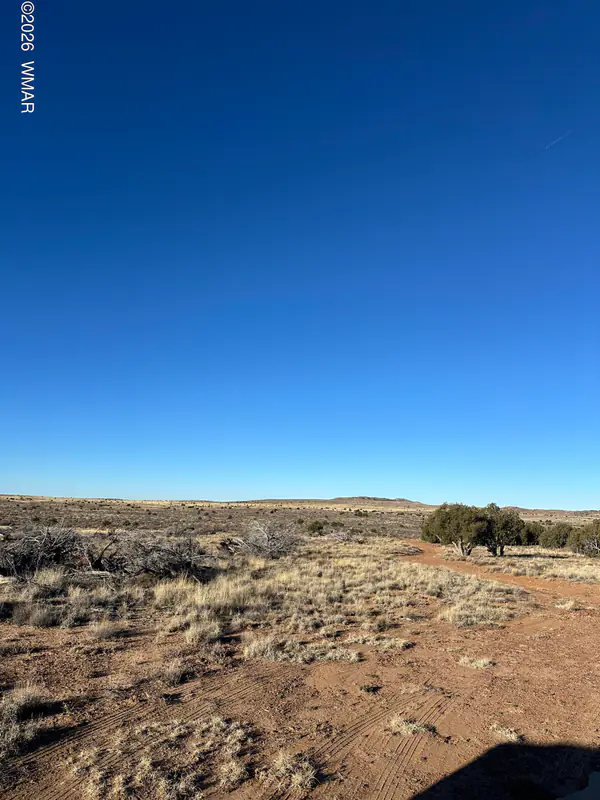 3893 Trebil Boulevard, Snowflake, AZ 85937