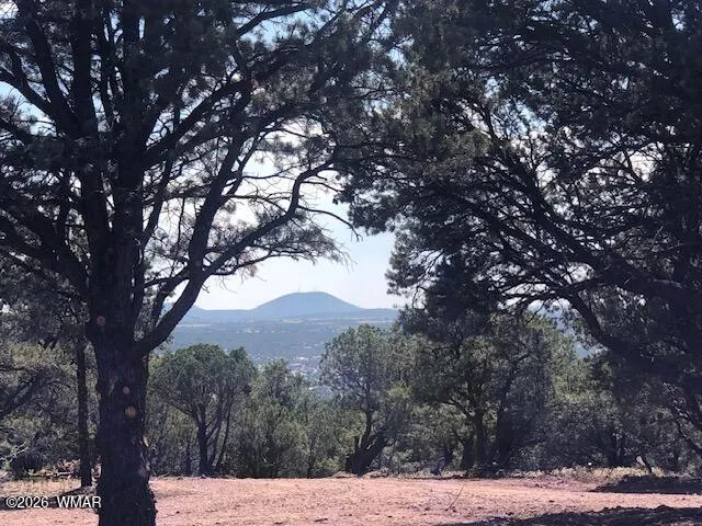 Lot 20 Mountain Pine Road, Vernon, AZ 85940 — Photo 1 of 22