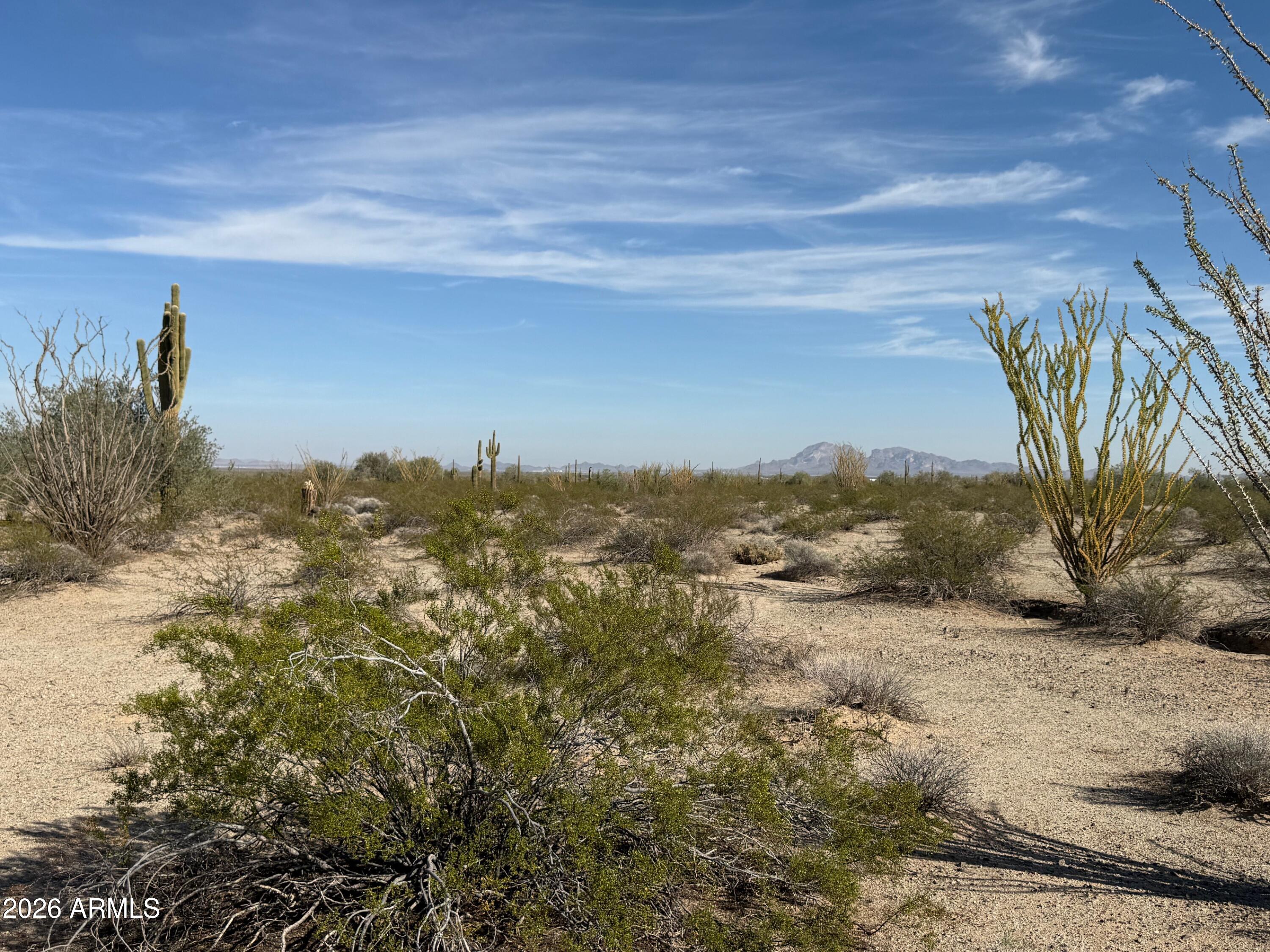 48620 W Van Buren Street -, Tonopah, AZ 85354 — Photo 1 of 3