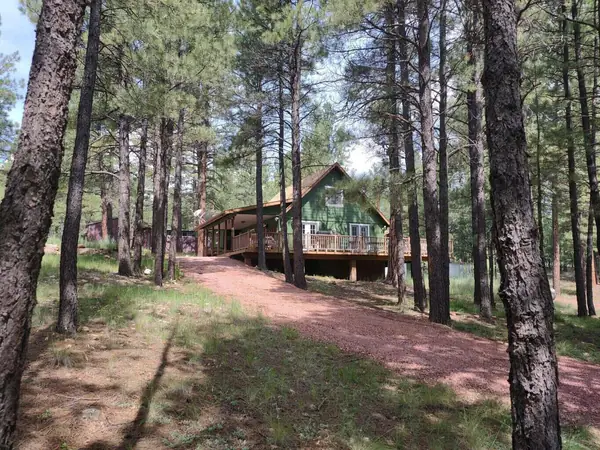 2132 Pine Valley Road, Happy Jack, AZ 86024