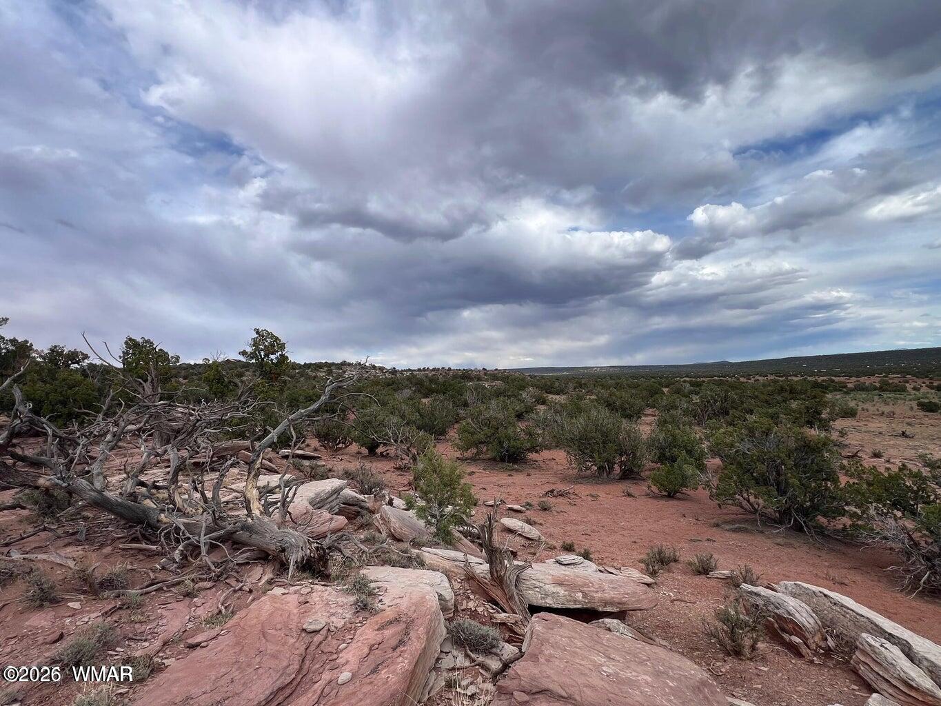 9286 Blackberry Lane, Show Low, AZ 85901