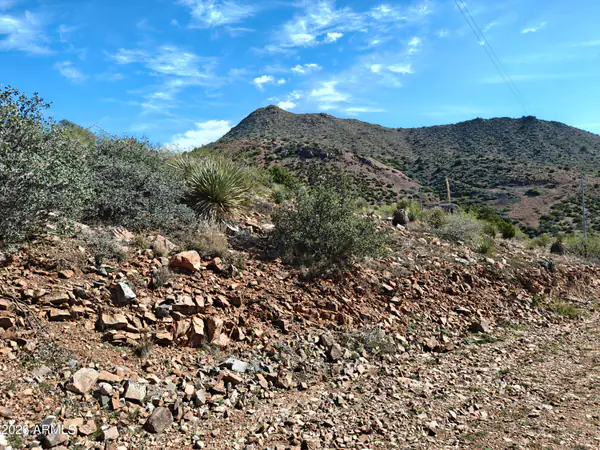TBD Vista Circle 169-A, Globe, AZ 85501