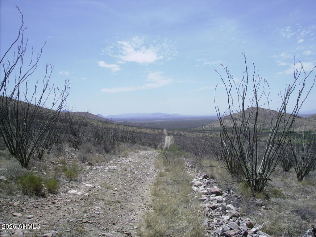 405-77-109 N Wilderness Trail 109, Douglas, AZ 85067 — Photo 1 of 5