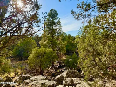 1838 Rocky Bottom Place -, Show Low, AZ 85901