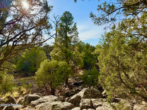 1838 Rocky Bottom Place -, Show Low, AZ 85901