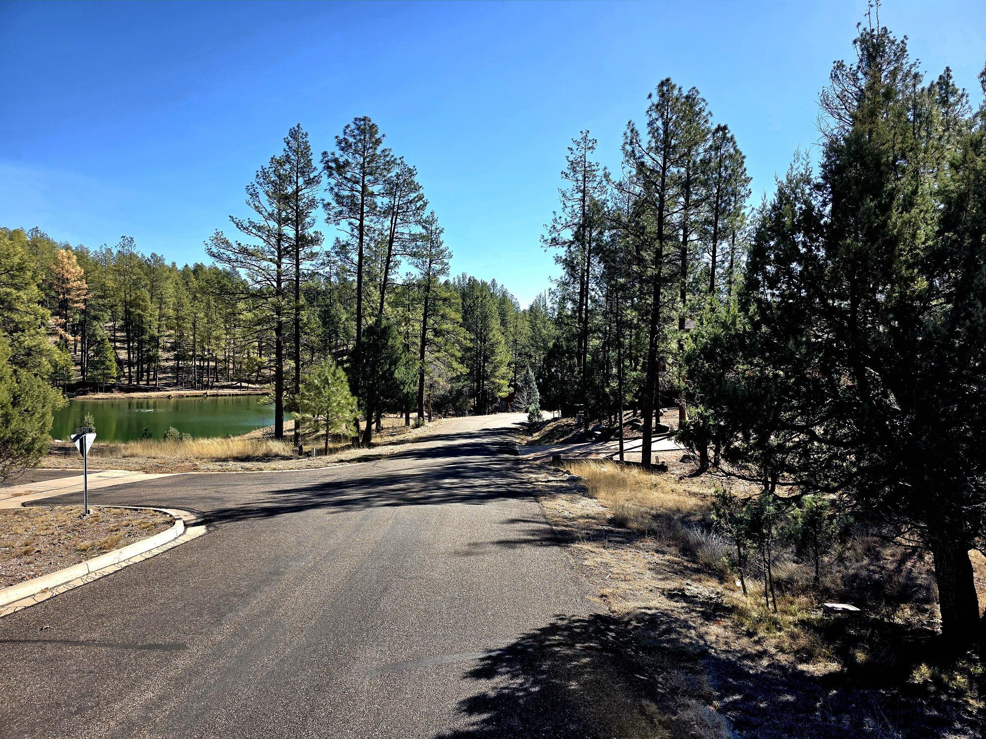 122 S Hunter Creek Drive, Payson, AZ 85541 — Photo 1 of 41