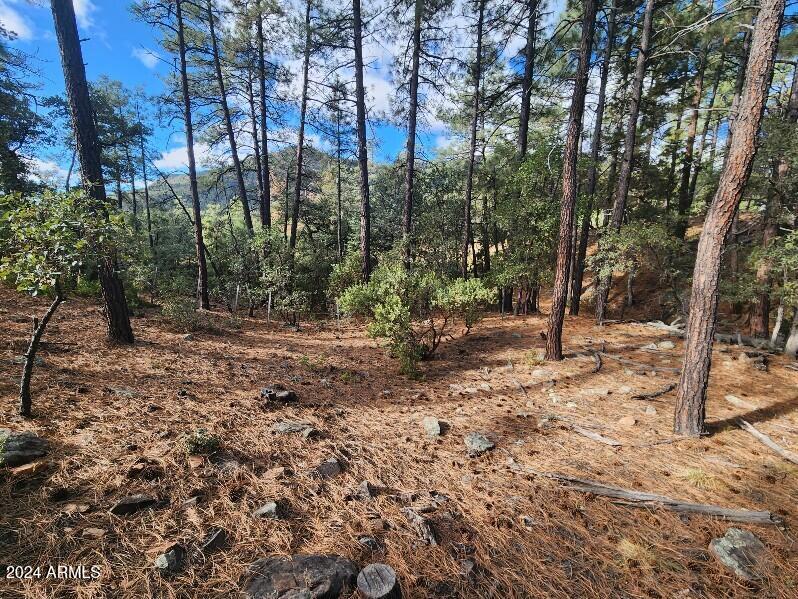 000 N Sundown Lane Lane 104, Pine, AZ 85544 — Photo 1 of 22