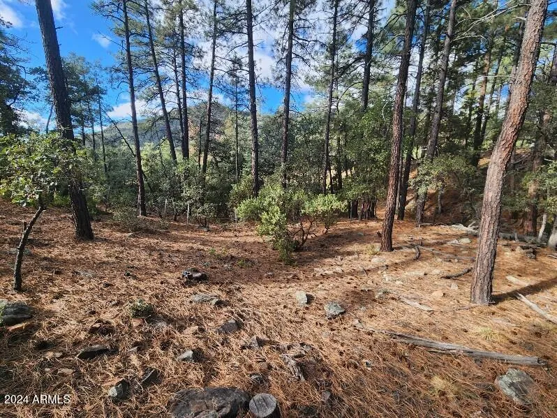 000 N Sundown Lane Lane 104, Pine, AZ 85544 — Photo 1 of 22