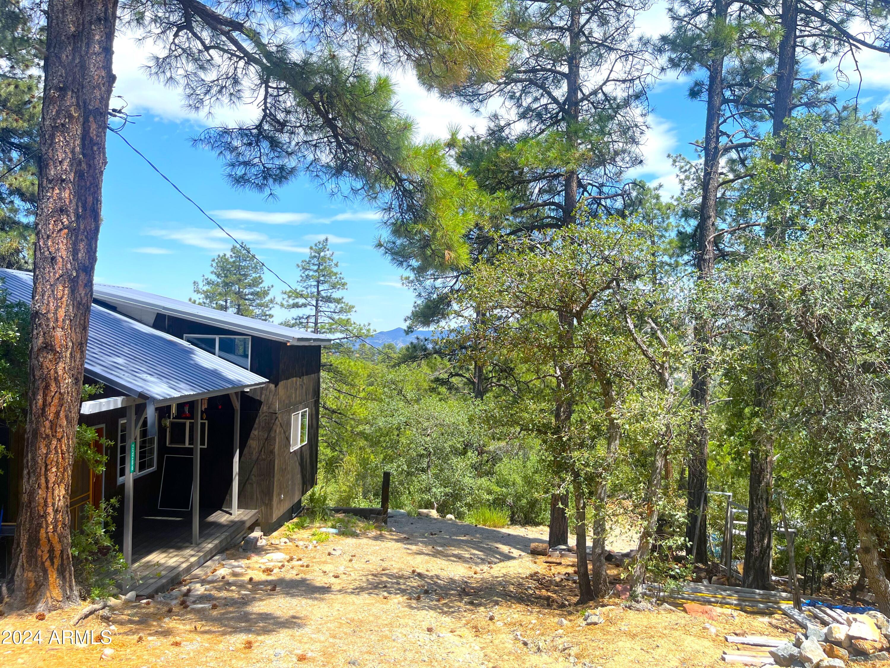 23206 S TOWERS MOUNTAIN Road, Crown King, AZ 86343 — Photo 1 of 31