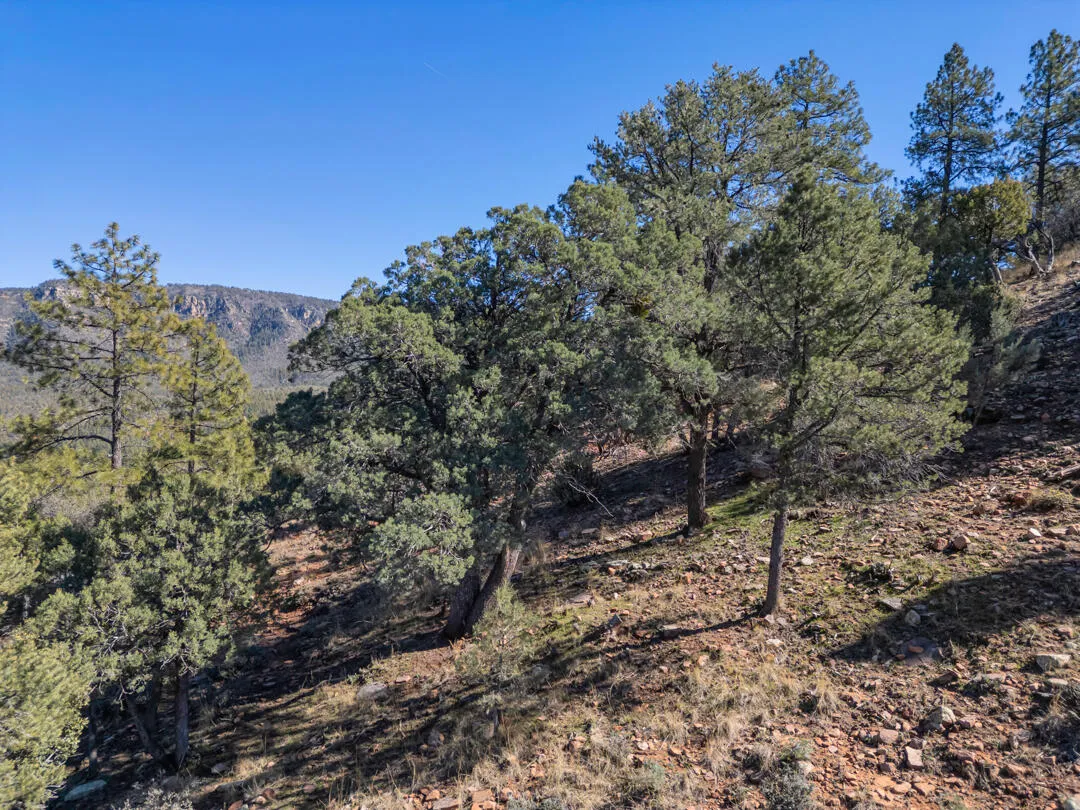 Lot 163 N Portal Drive, Pine, AZ 85544 — Photo 1 of 31