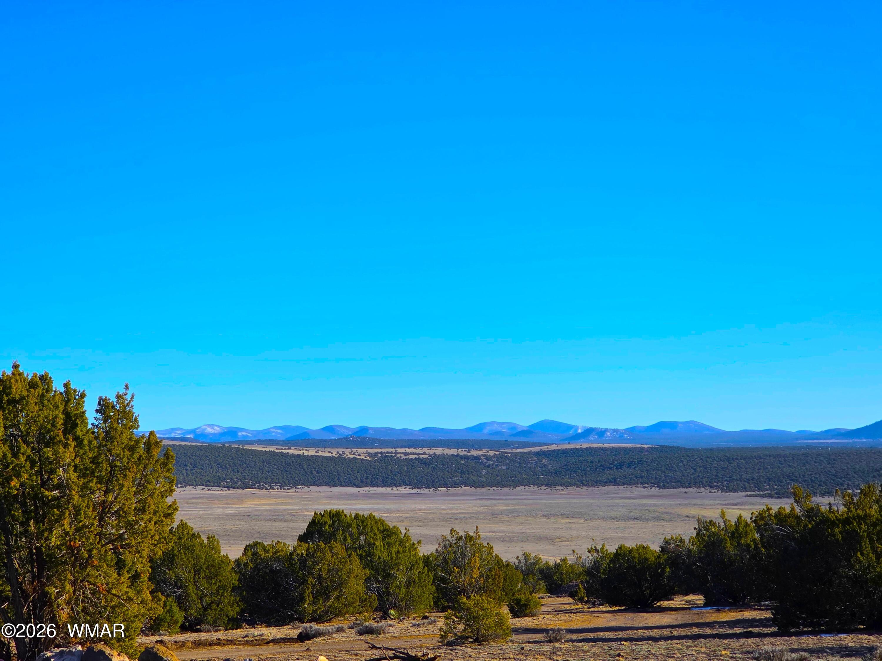 TBD Bunkhouse Road, Show Low, AZ 85901