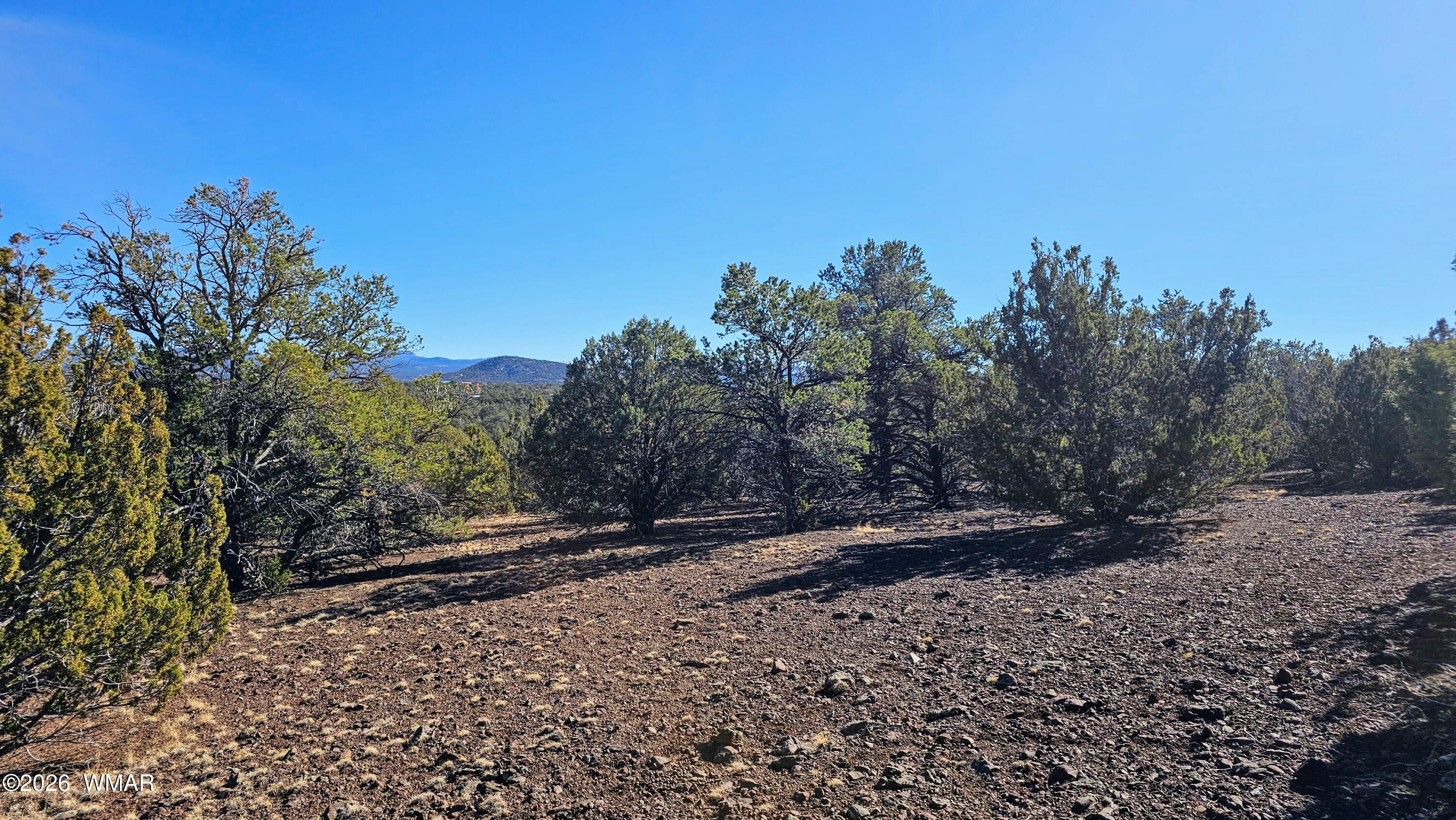 76 N3130, Vernon, AZ 85940