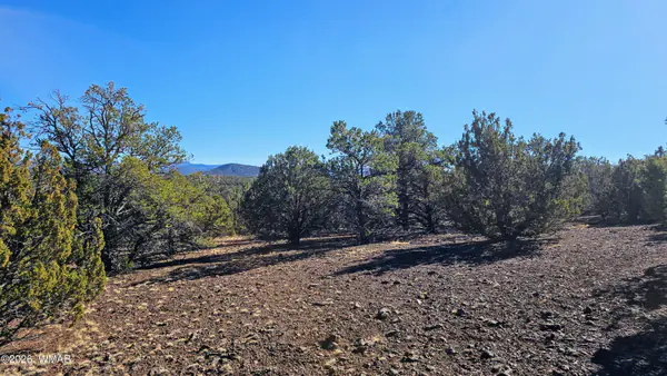 76 N3130, Vernon, AZ 85940