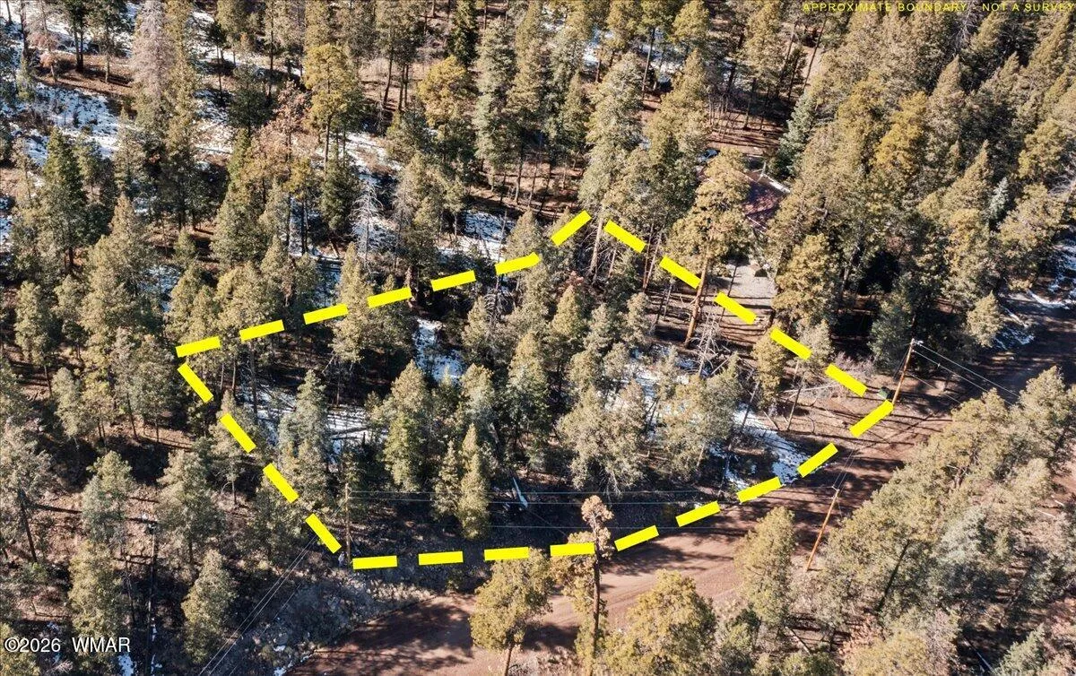 9 County Rd 2073, Alpine, AZ 85920 — Photo 1 of 7
