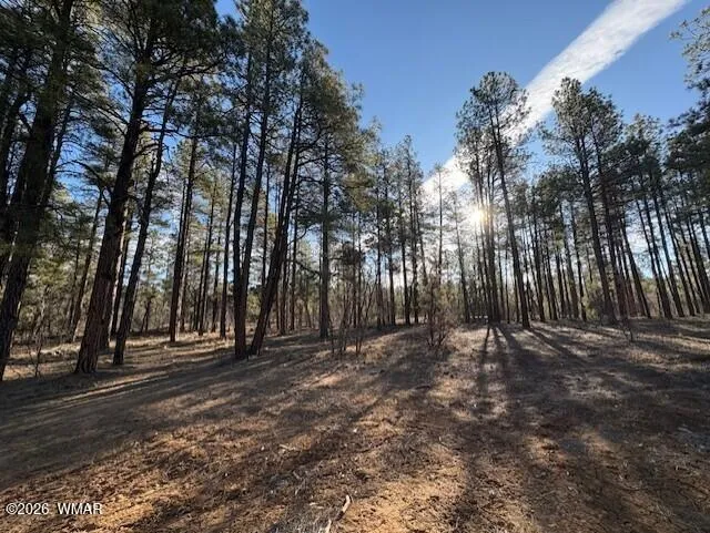 2360 Narrow Leaf Lane, Lot 15, Show Low, AZ 85901 — Photo 1 of 9