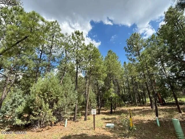 2340 W Pinegrass Road, Lot 26, Show Low, AZ 85901 — Photo 1 of 15