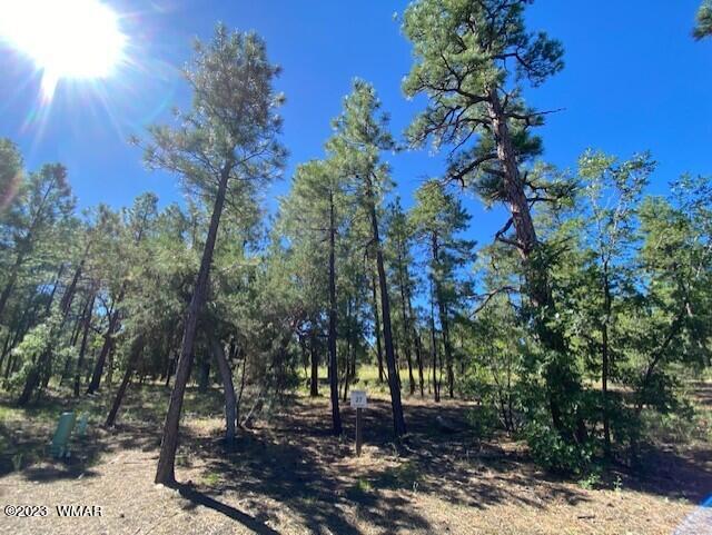 2360 Pinegrass Road, Lot 27, Show Low, AZ 85901